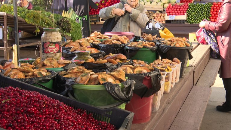 Доверяй, но проверяй: безопасно ли покупать дикоросы в Иркутске?